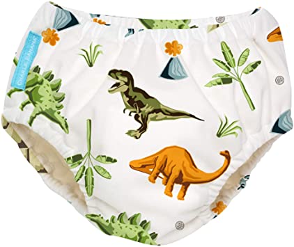 Amazon Swim Diapers