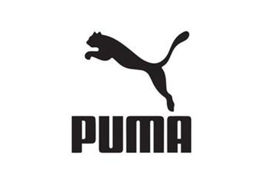 puma backpack brand